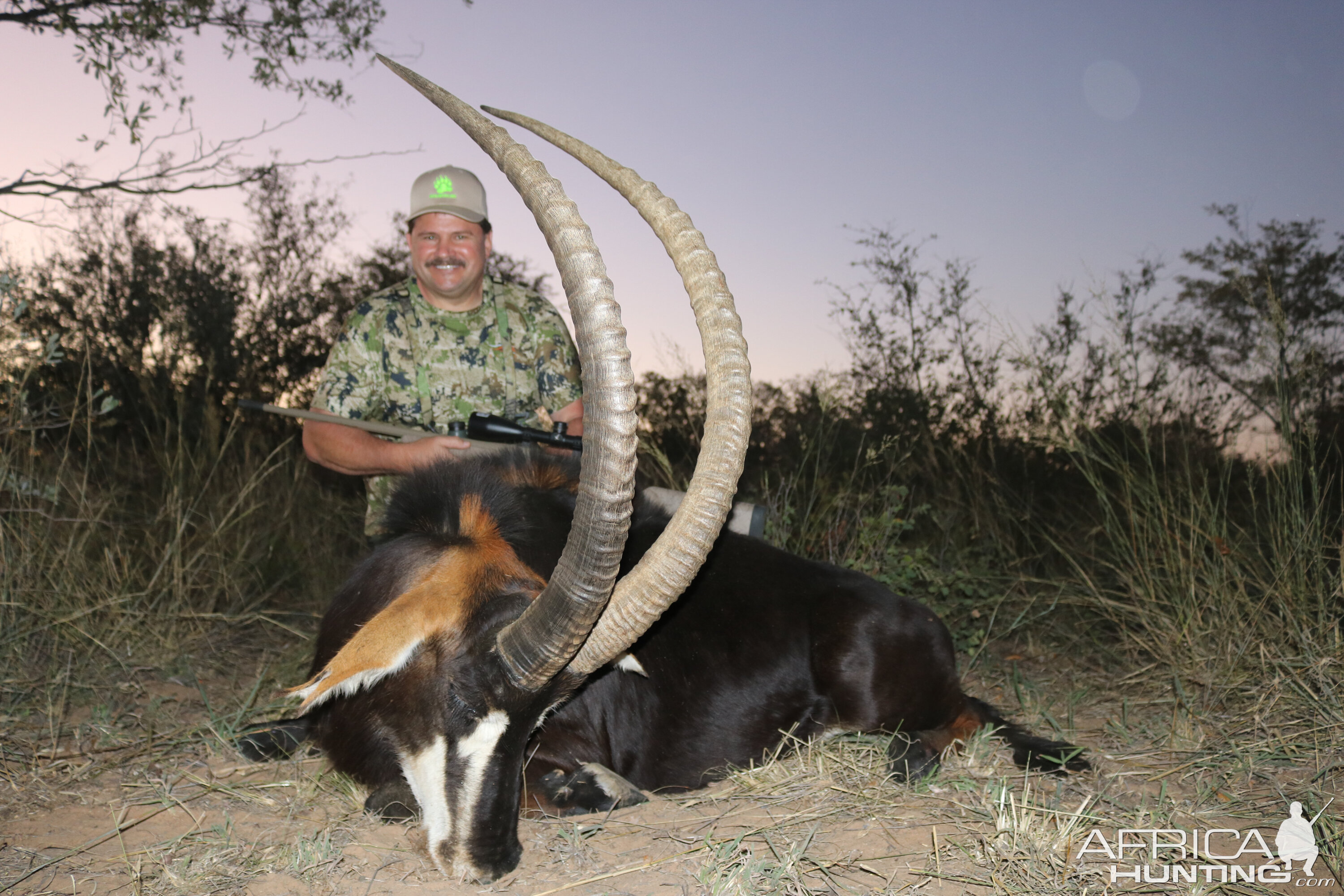 Hunting Sable Antelope in South Africa