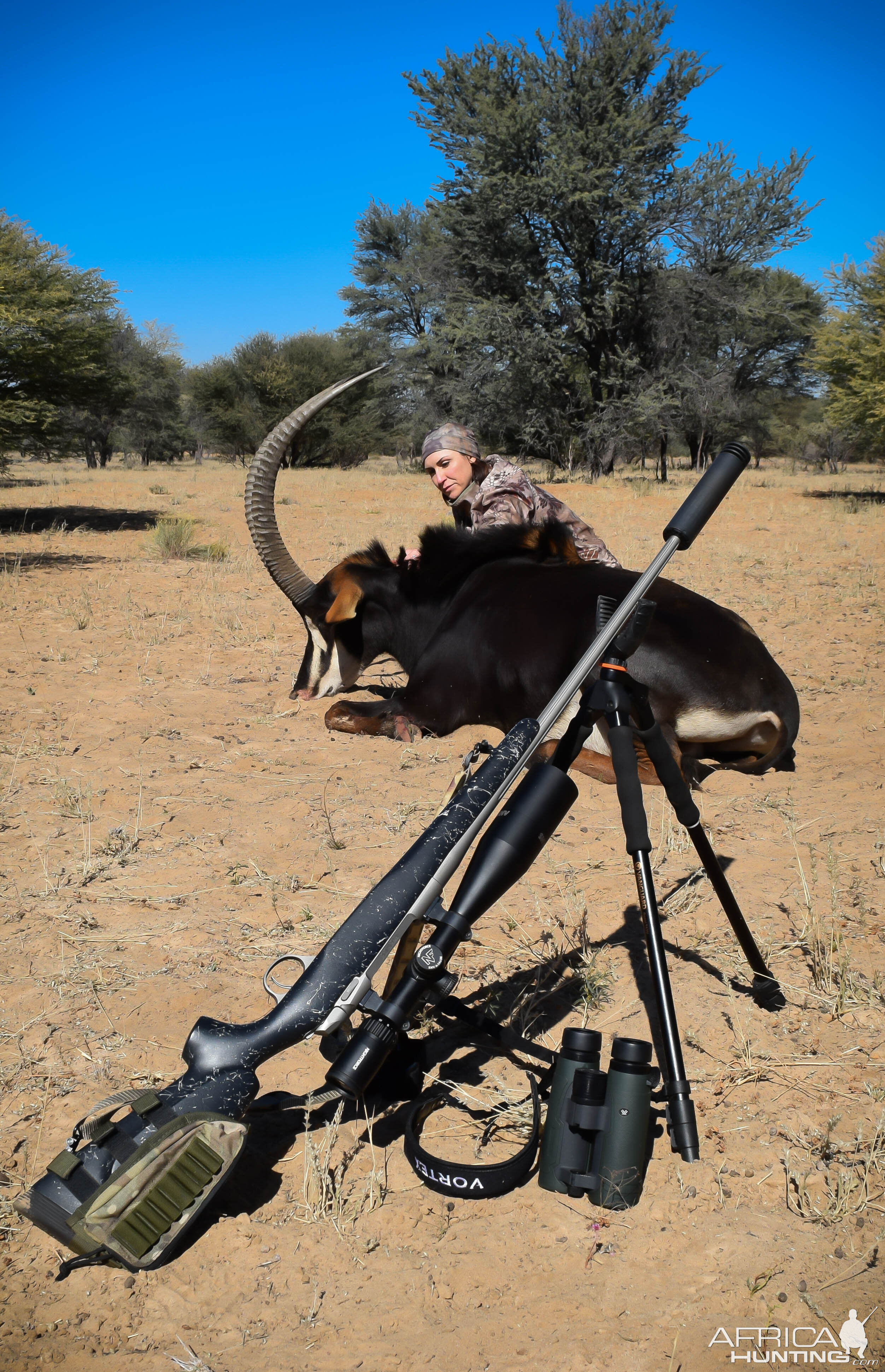 Hunting Sable Antelope