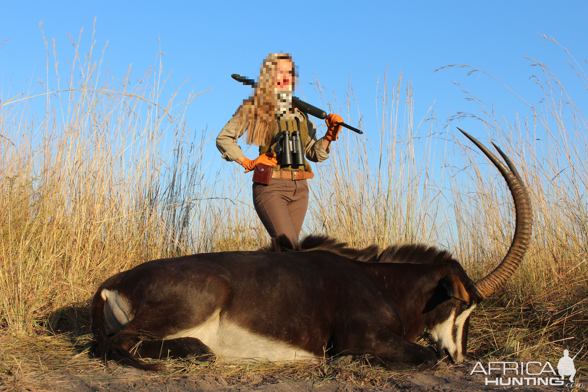 Hunting Sable Antelope