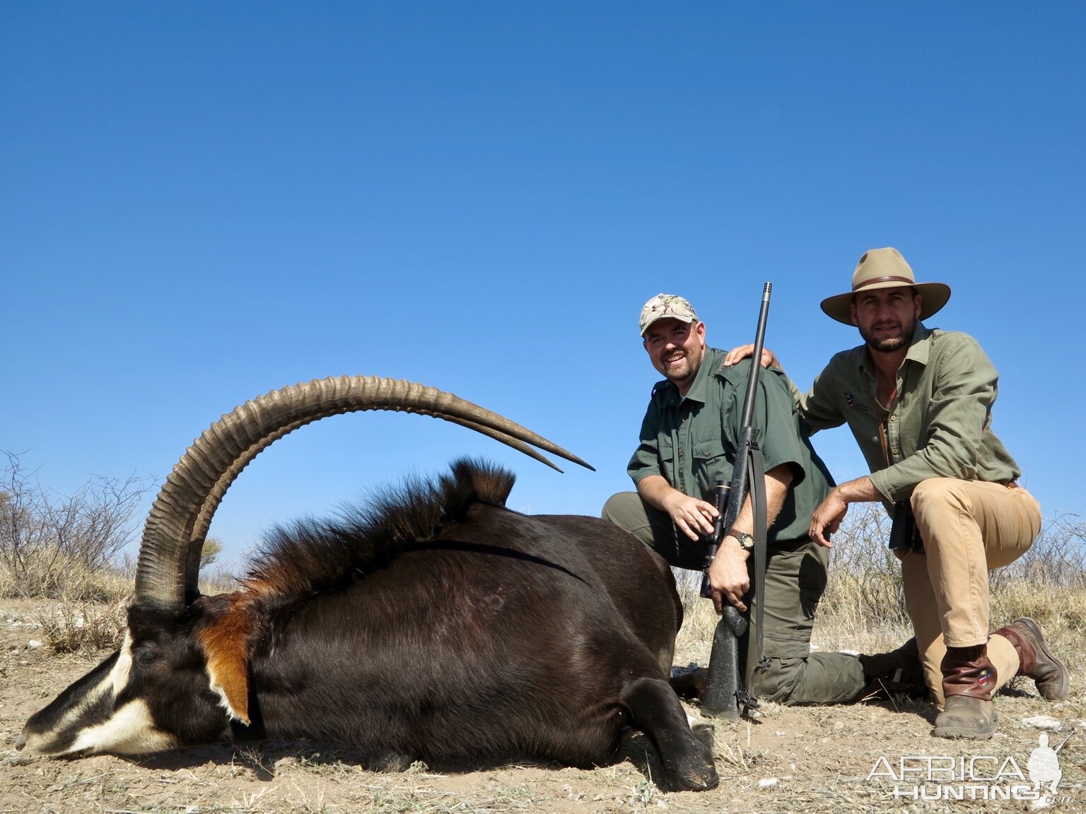Hunting Sable Antelope
