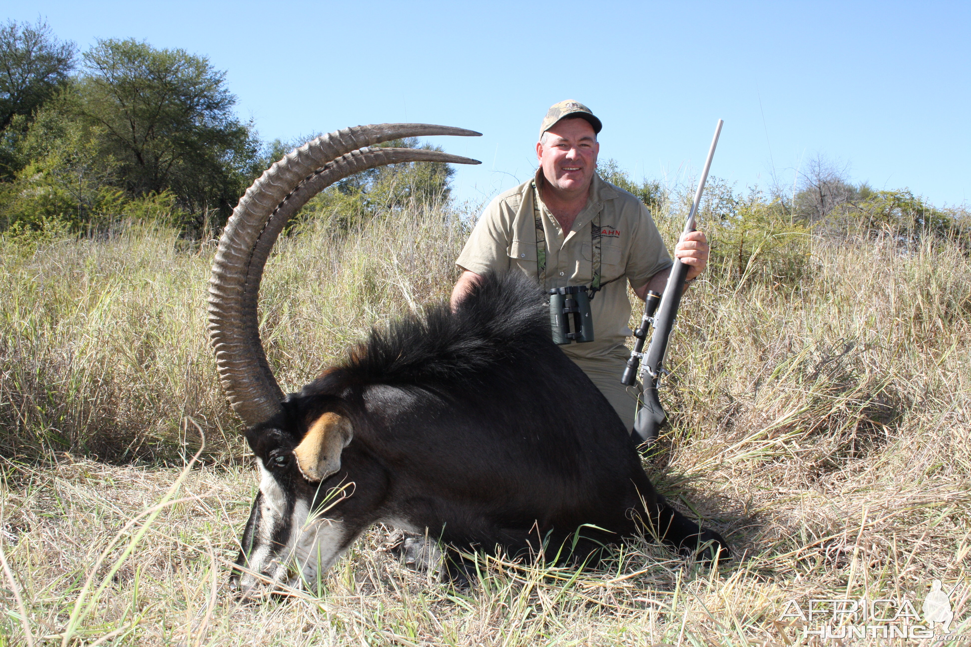 Hunting Sable Antelope