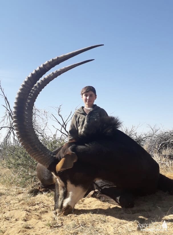 Hunting Sable in South Africa