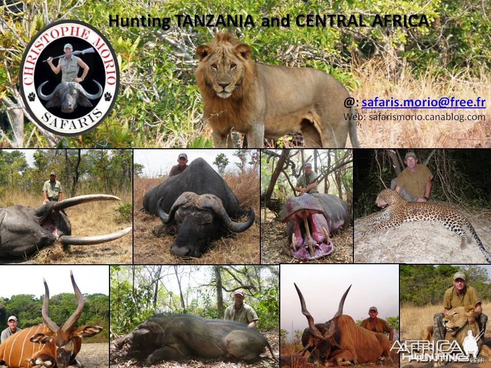 Hunting Safaris in CAR & Tanzania with Christophe Morio