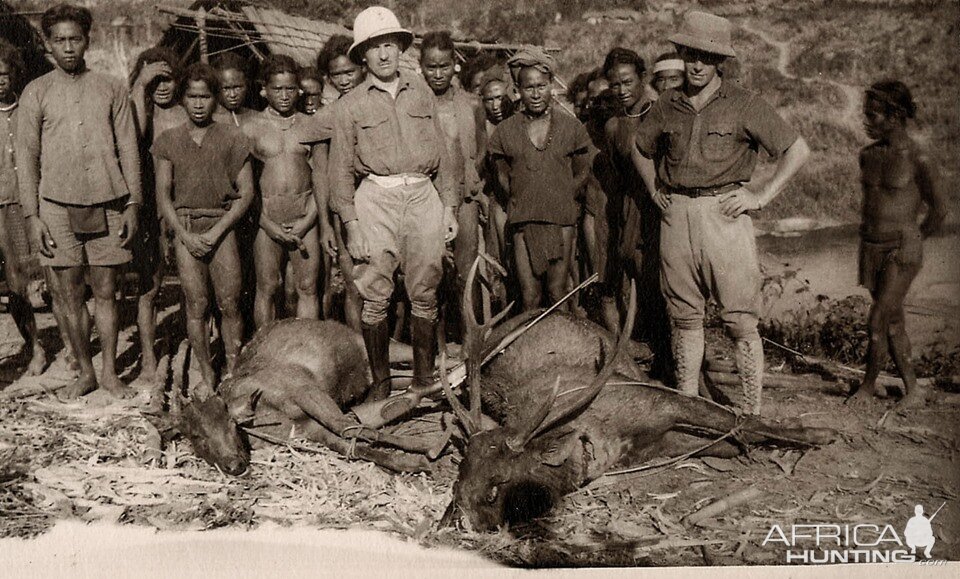Hunting Sambar Deer in old French Indochina Vietnam