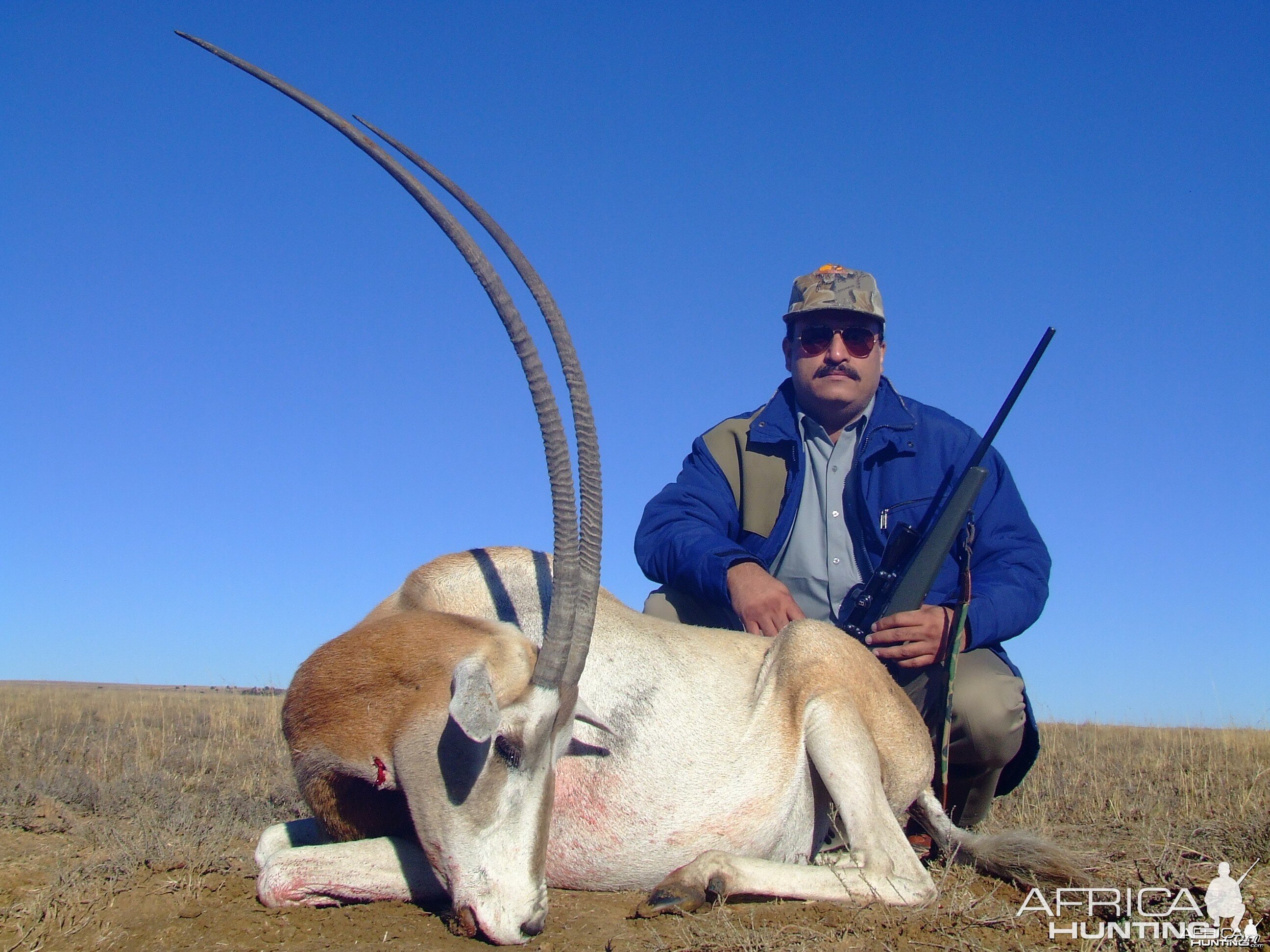 Hunting Scimitar Oryx