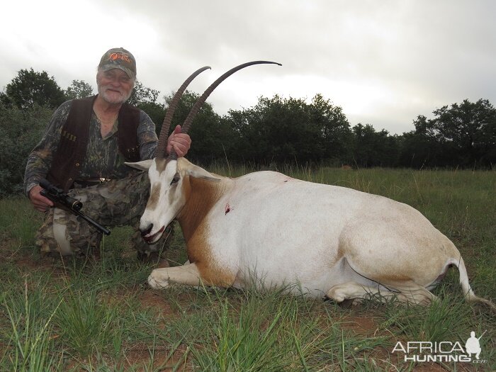 Hunting Scimitar Oryx
