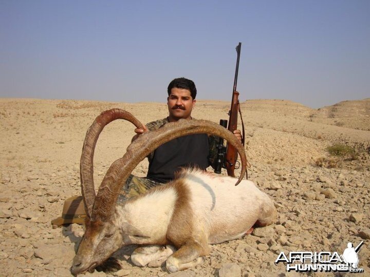 Hunting Sindh Ibex taken in Sindh-Pakistan