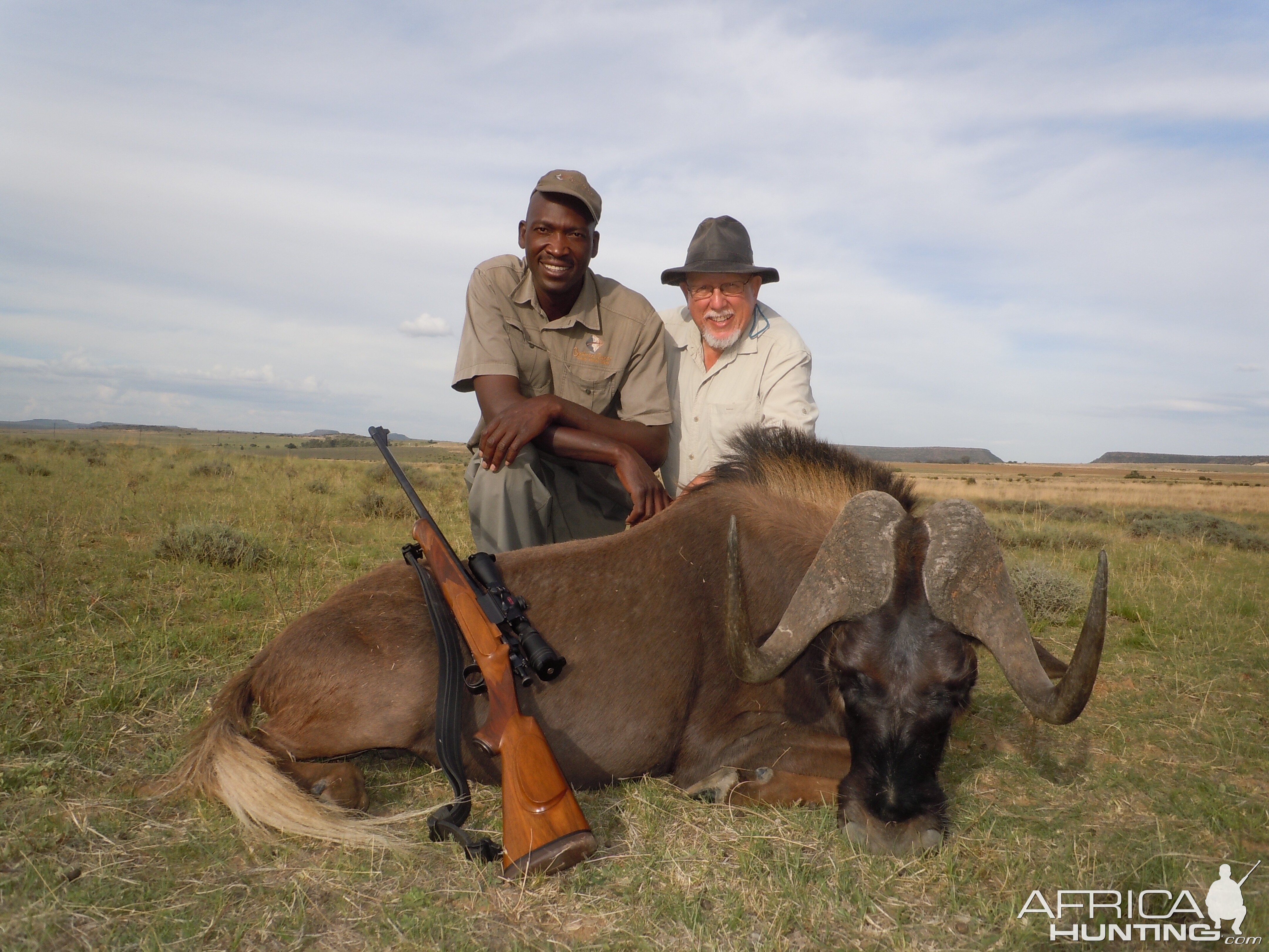 Hunting South Africa Black Wildebeest