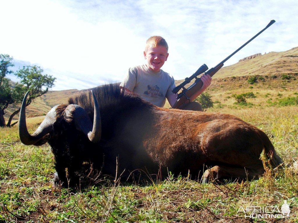 Hunting South Africa Black Wildebeest