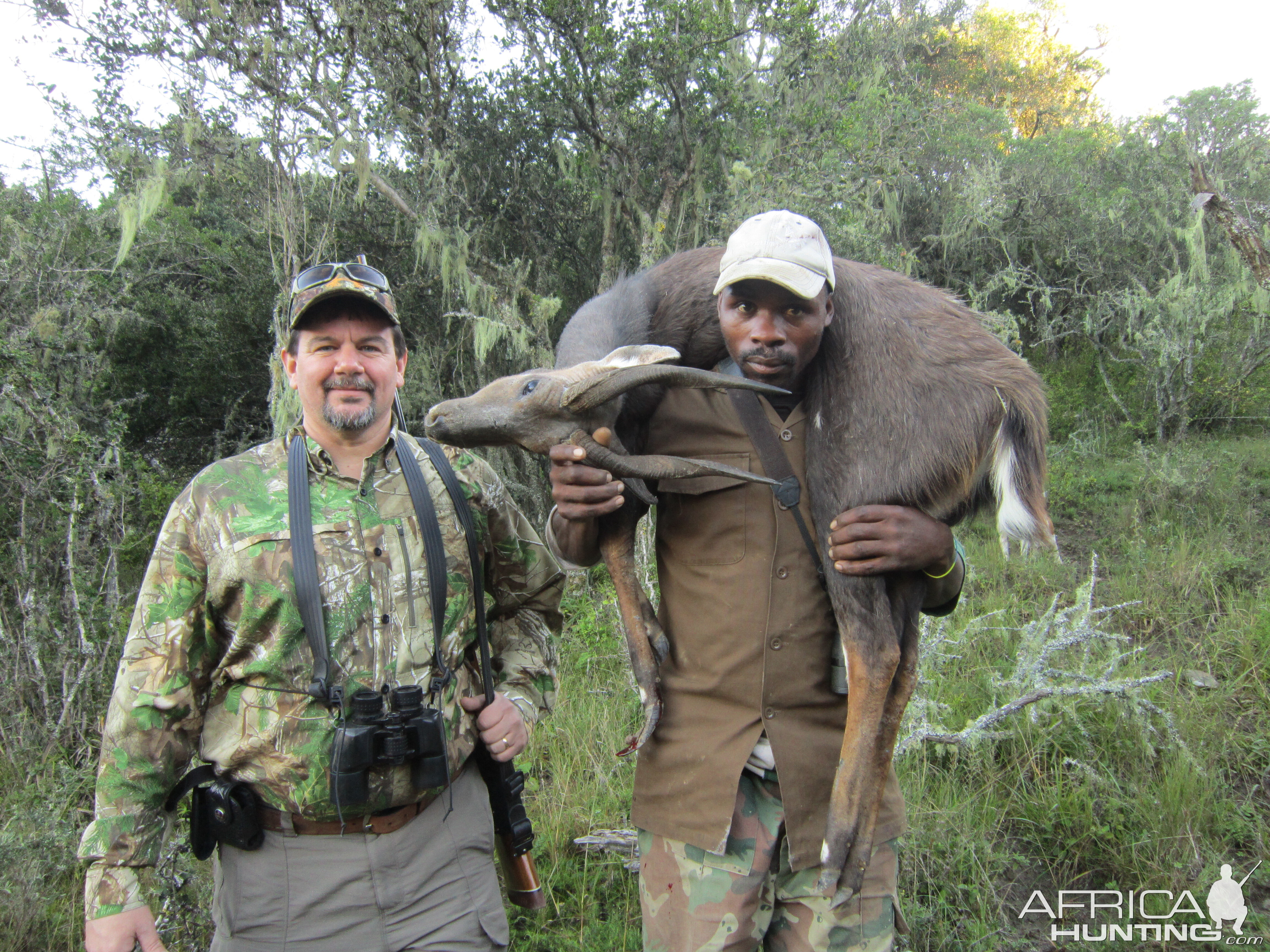 Hunting South Africa Bushbuck