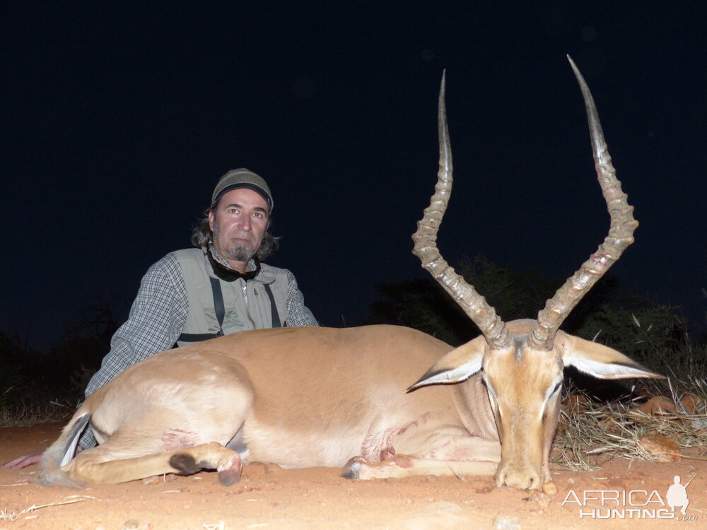 Hunting South Africa Impala