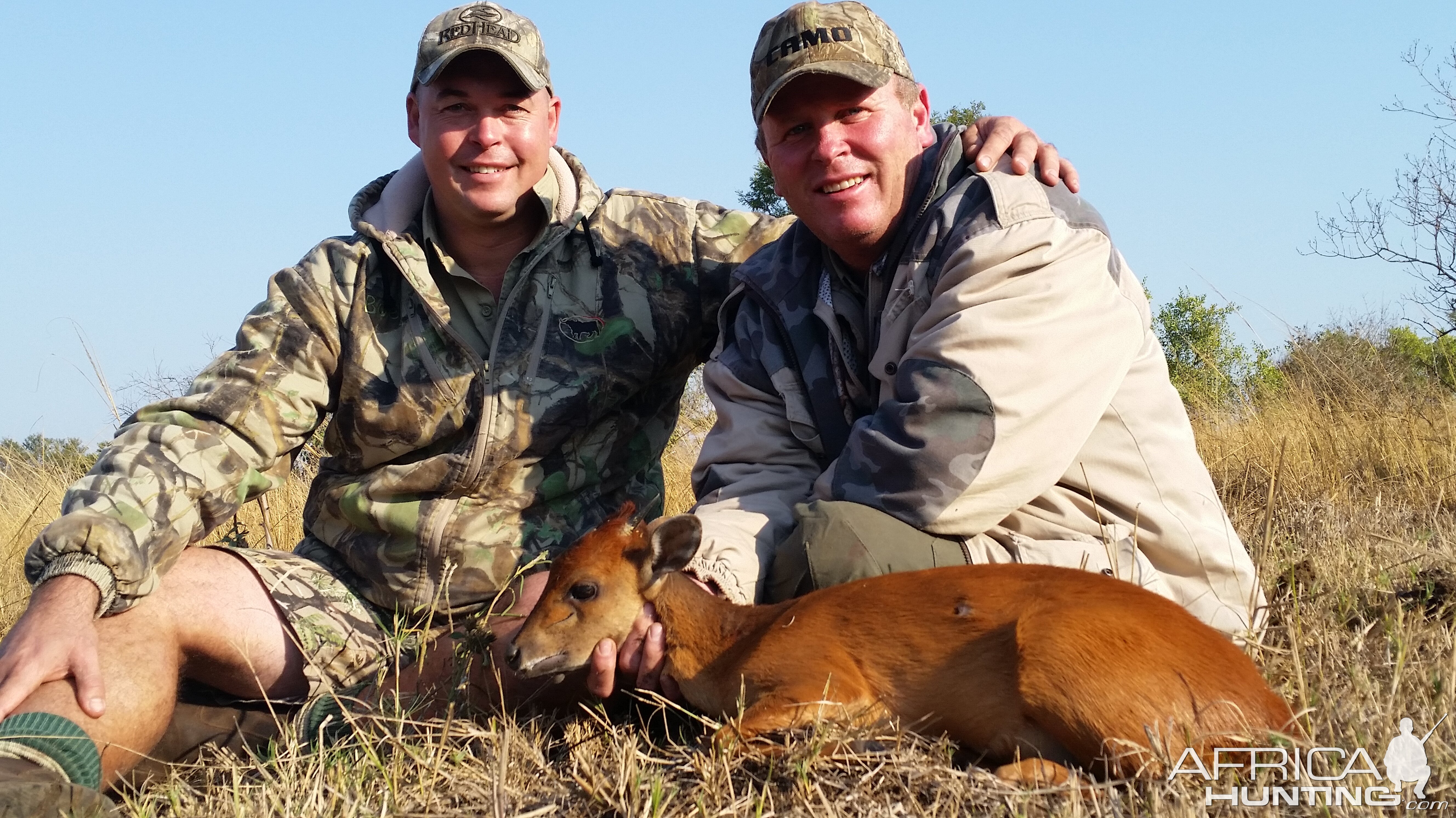 Hunting South Africa Red Duiker