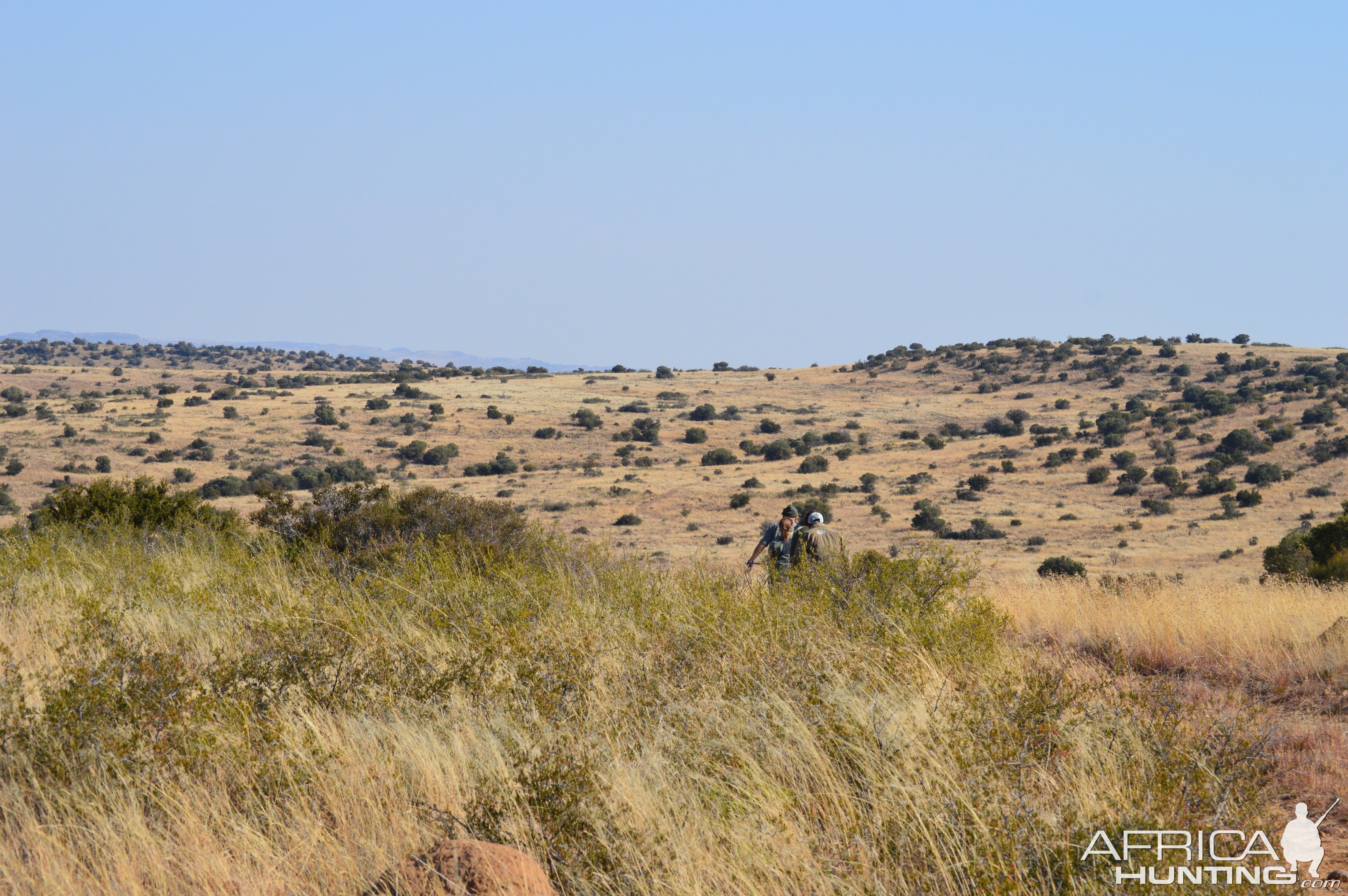 Hunting South Africa