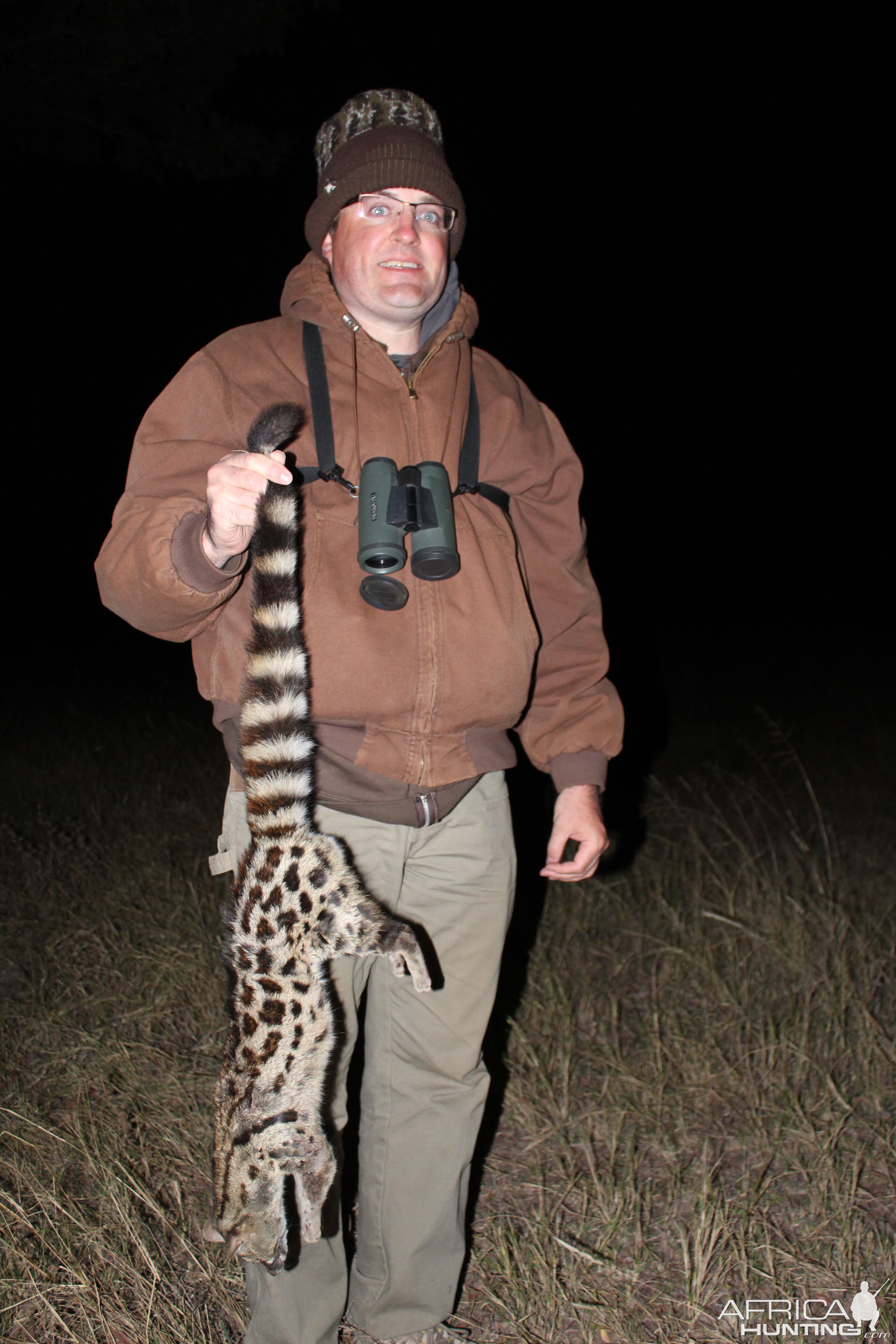 Hunting Spotted Genet Cat South Africa