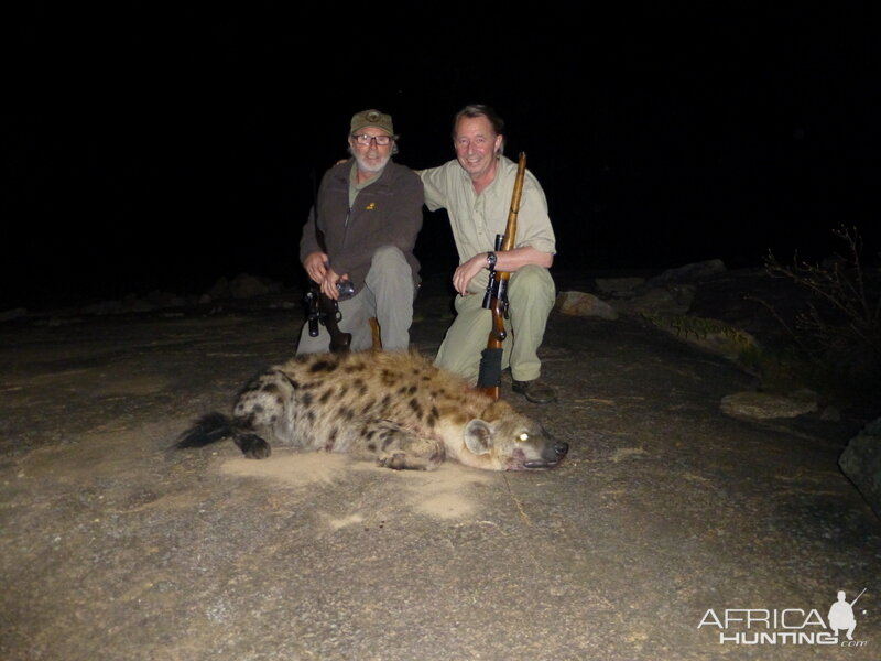 Hunting Spotted Hyena Zimbabwe