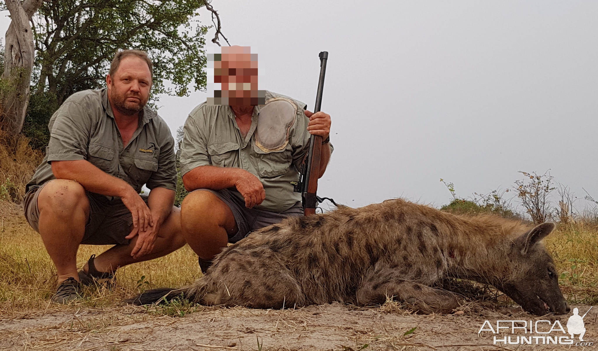 Hunting Spotted Hyena