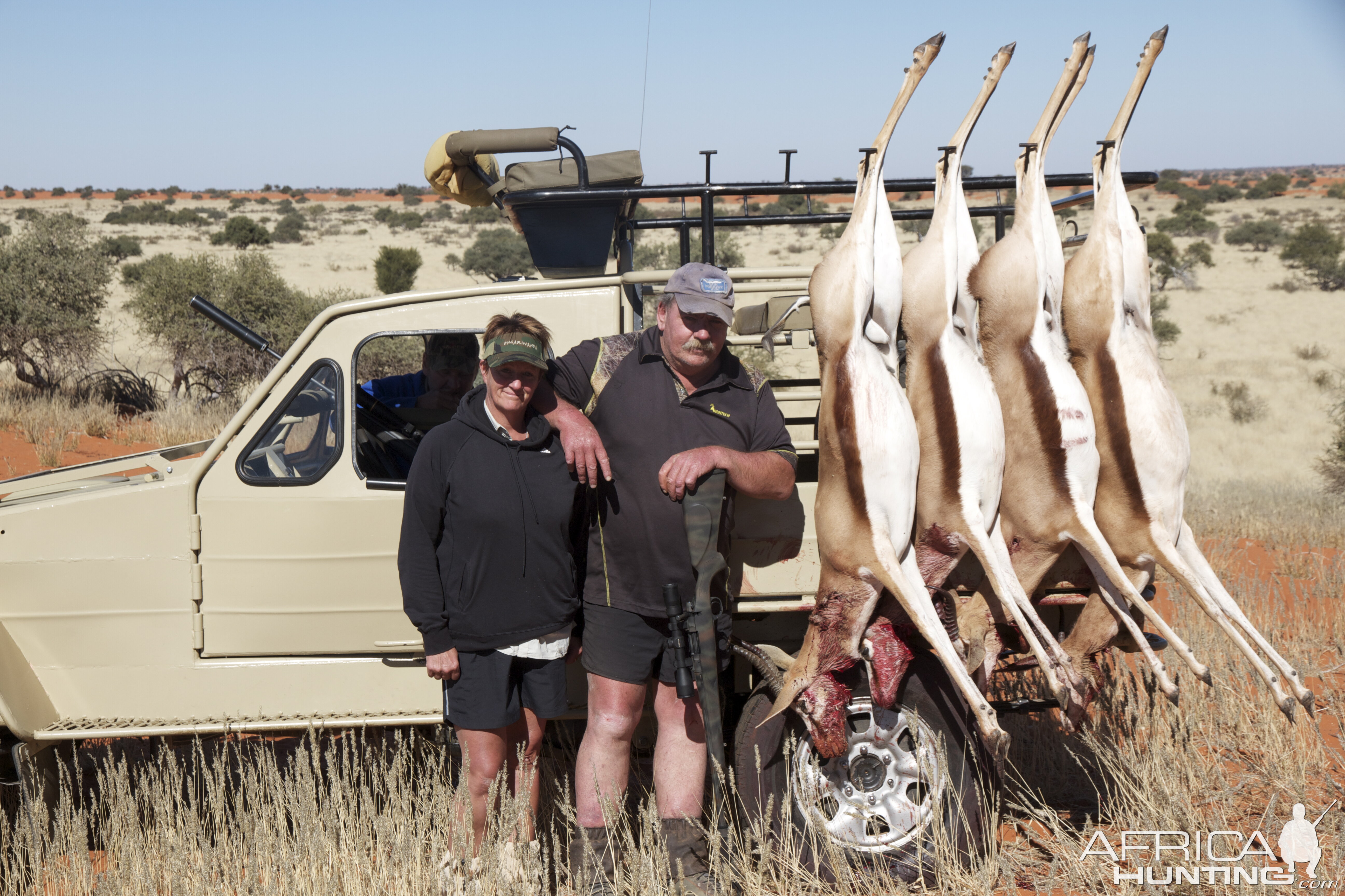 Hunting Springbok