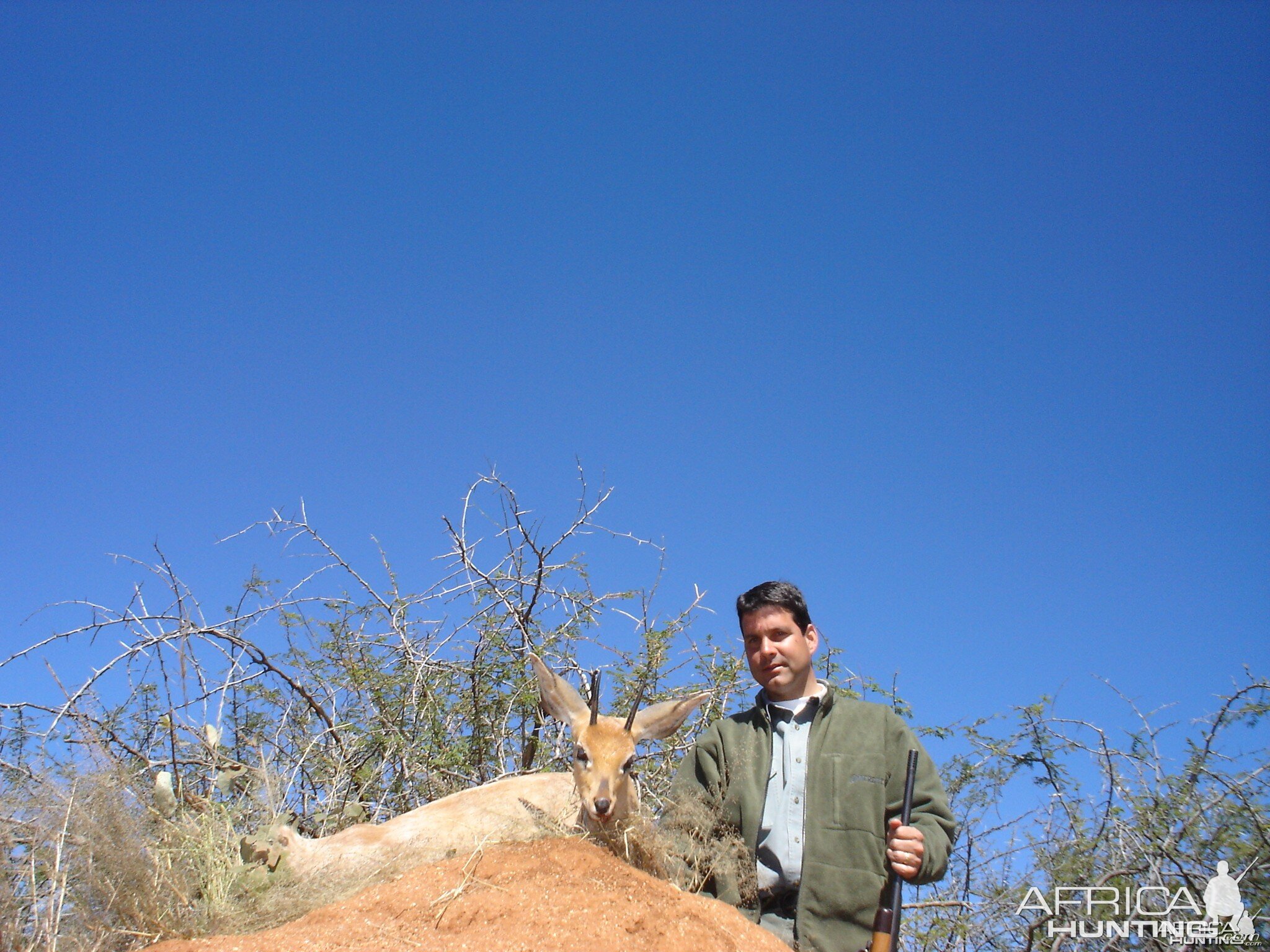 Hunting Steenbok in Namibia