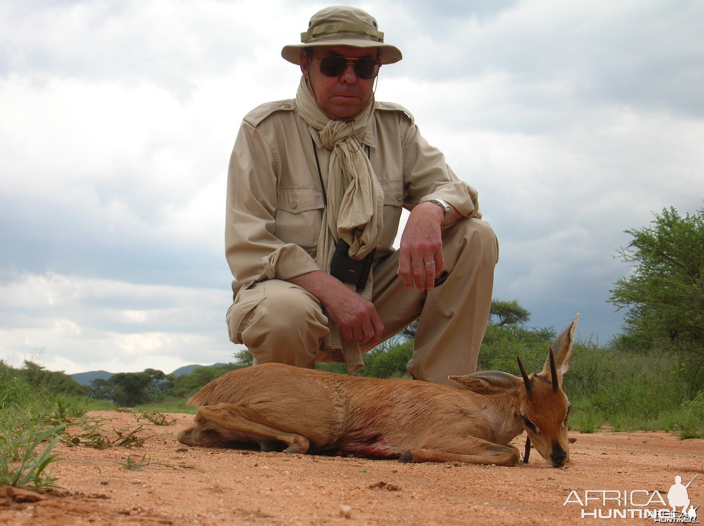 Hunting Steenbok in Namibia