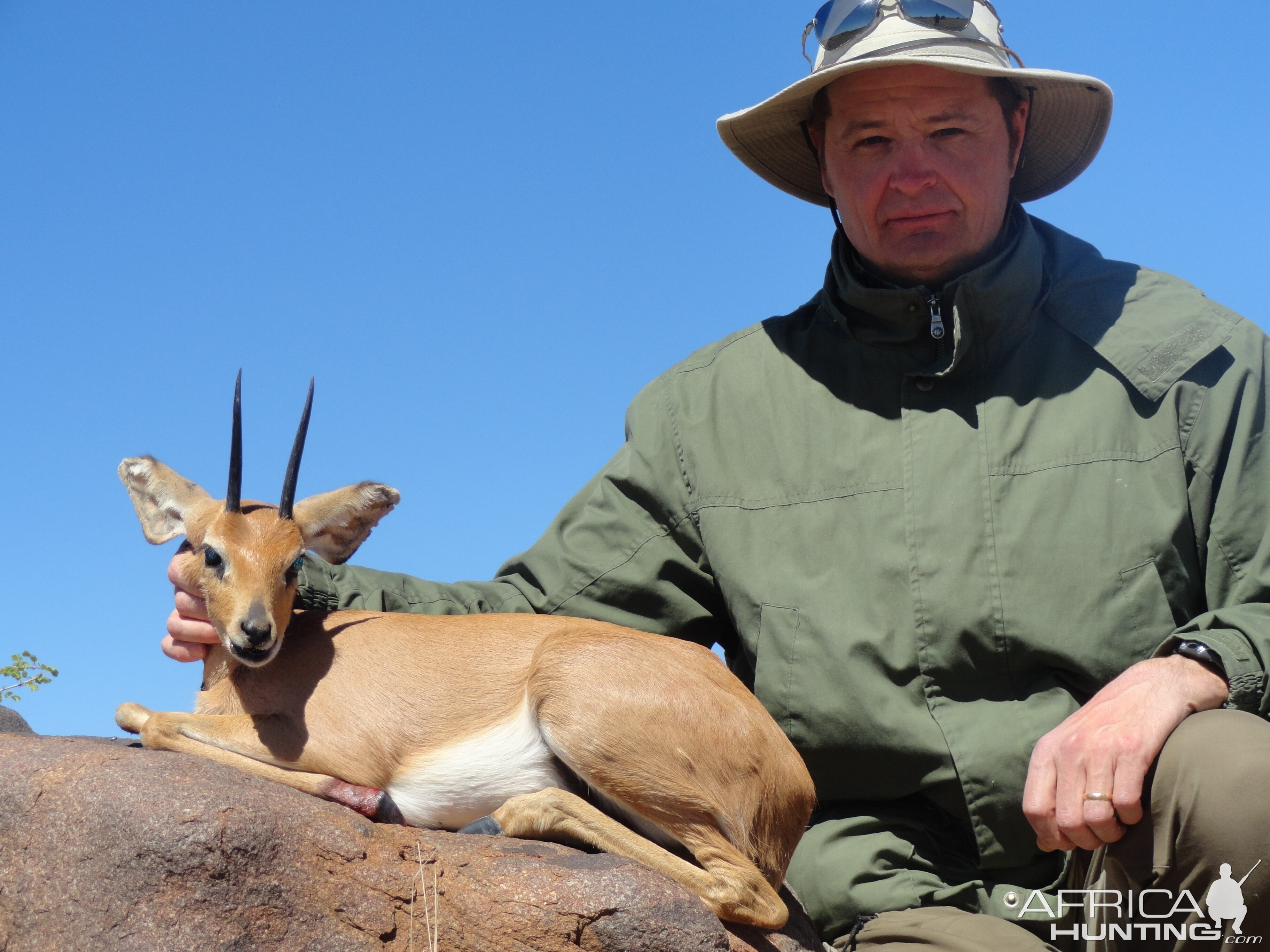 Hunting Steenbok Namibia