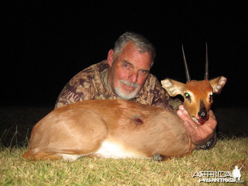 Hunting Steenbok