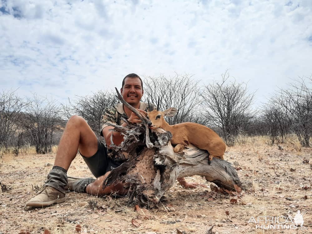 Hunting Steenbuck Namibia