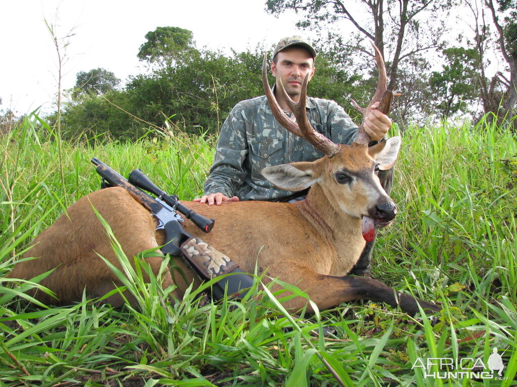 Hunting Swamp Deer