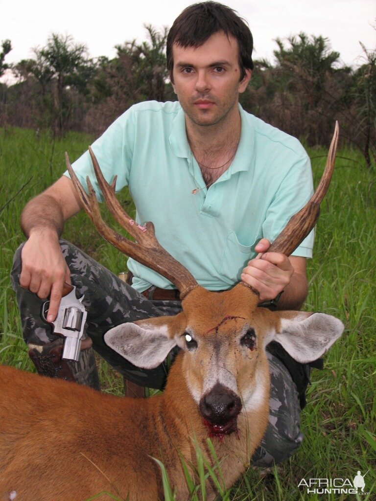 Hunting Swamp Deer