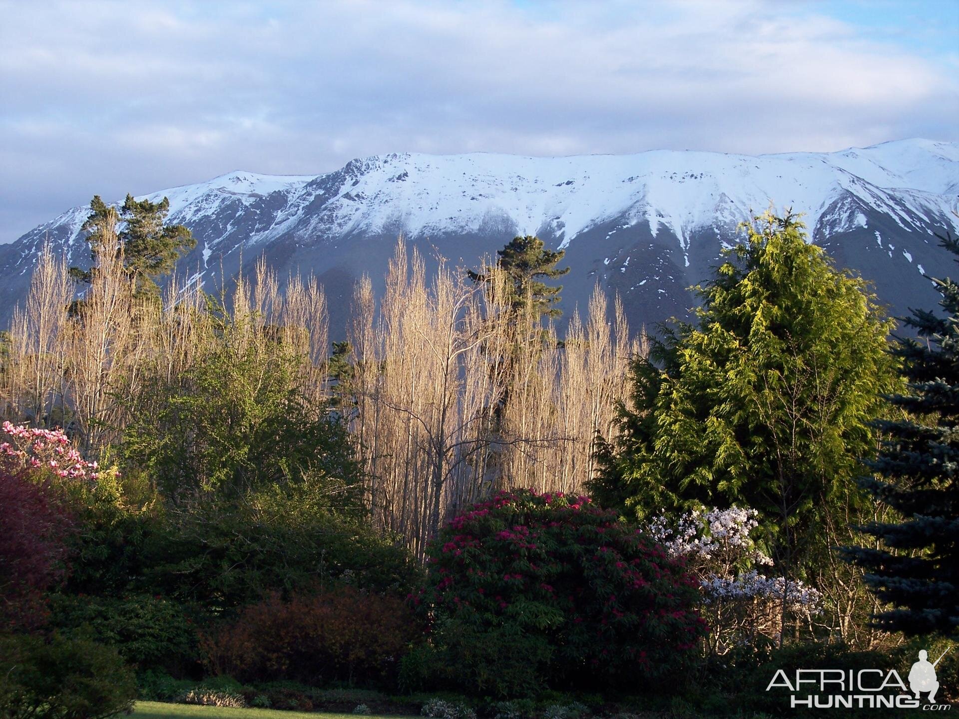 Hunting Tahr in New Zealand