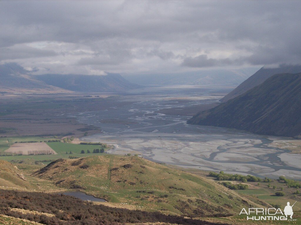 Hunting Tahr in New Zealand