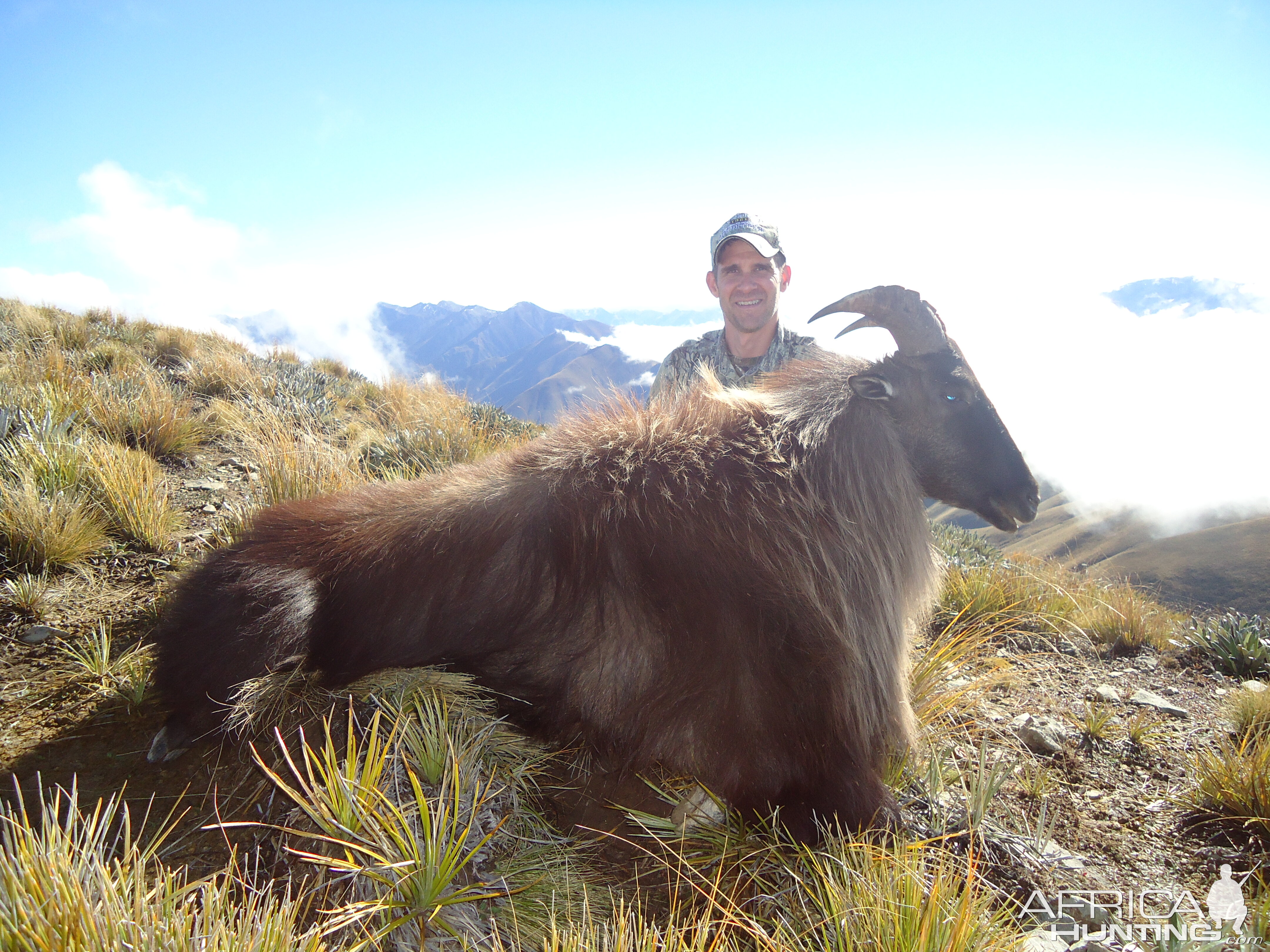 Hunting Tahr in New Zealand