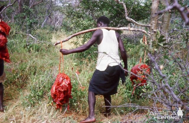 Hunting Tanzania during 60's