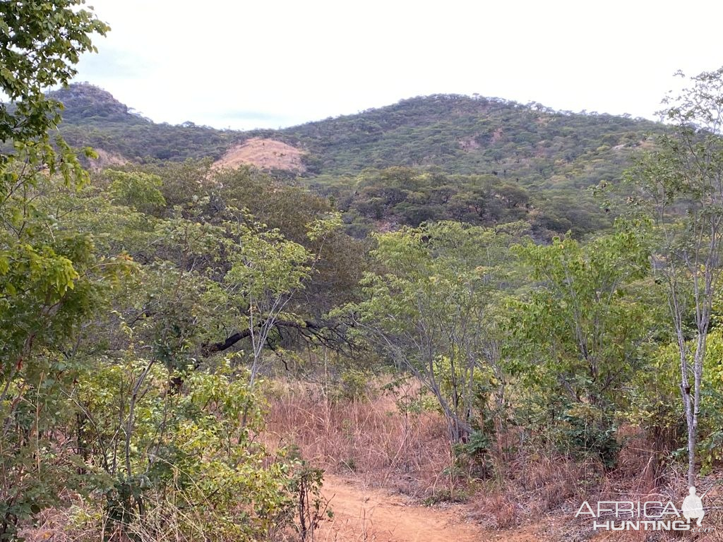 Hunting Terrain Zimbabwe