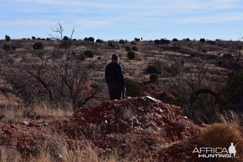 Hunting Texas USA