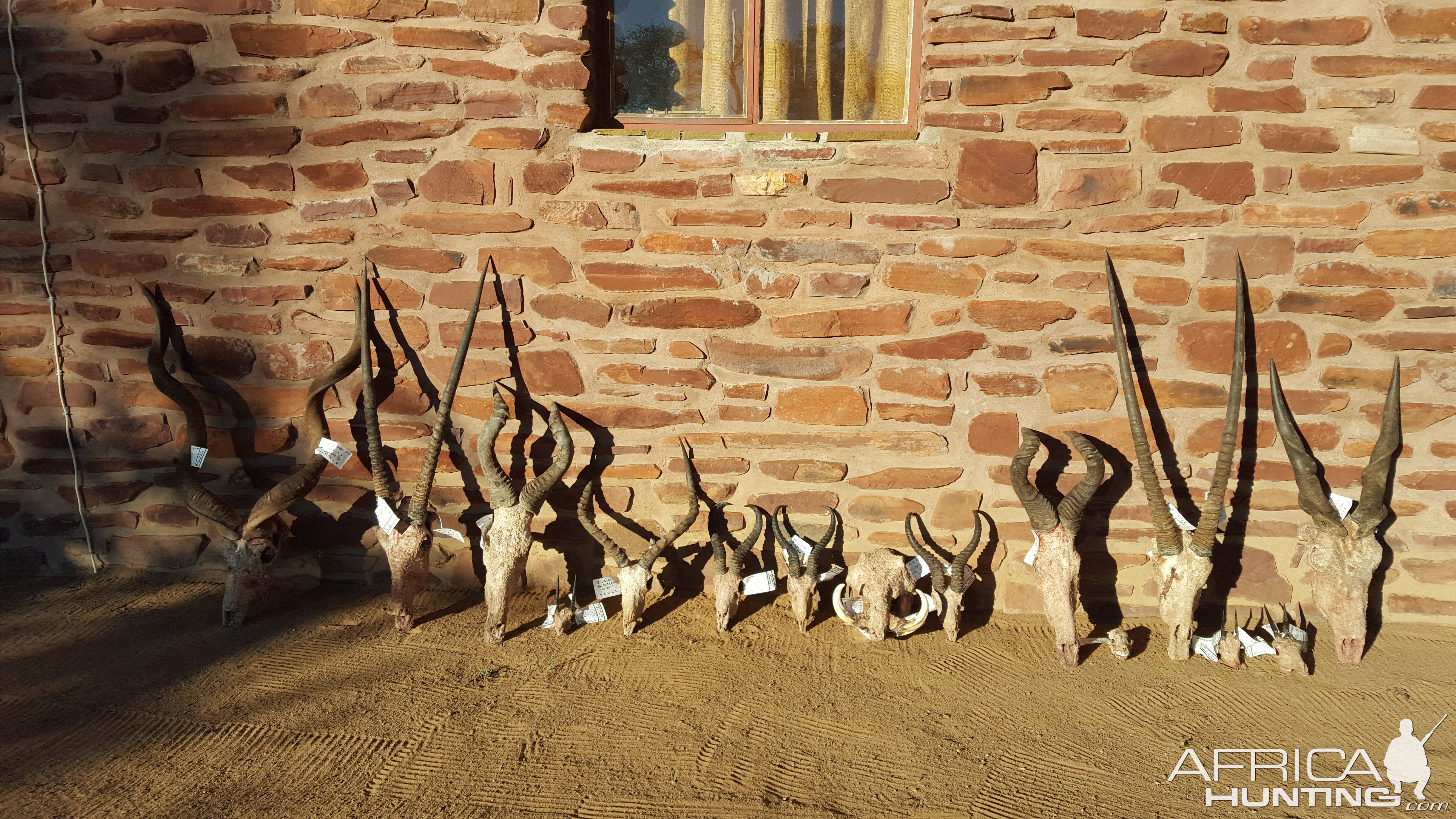 Hunting Trophies Namibia