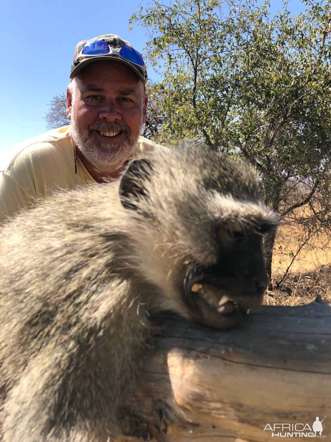 Hunting Vervet Monkey in South Africa