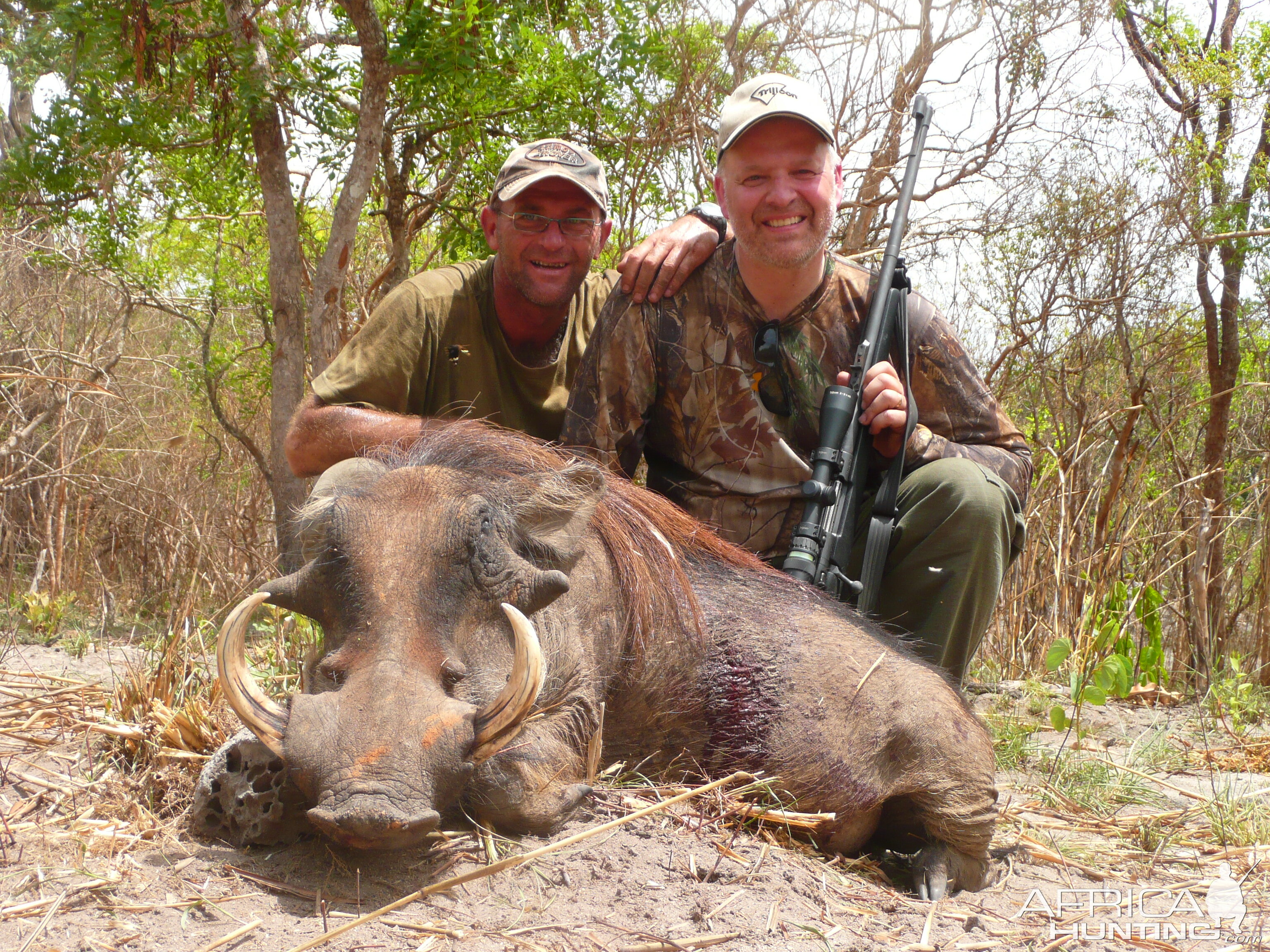 Hunting Warthog in Central Africa
