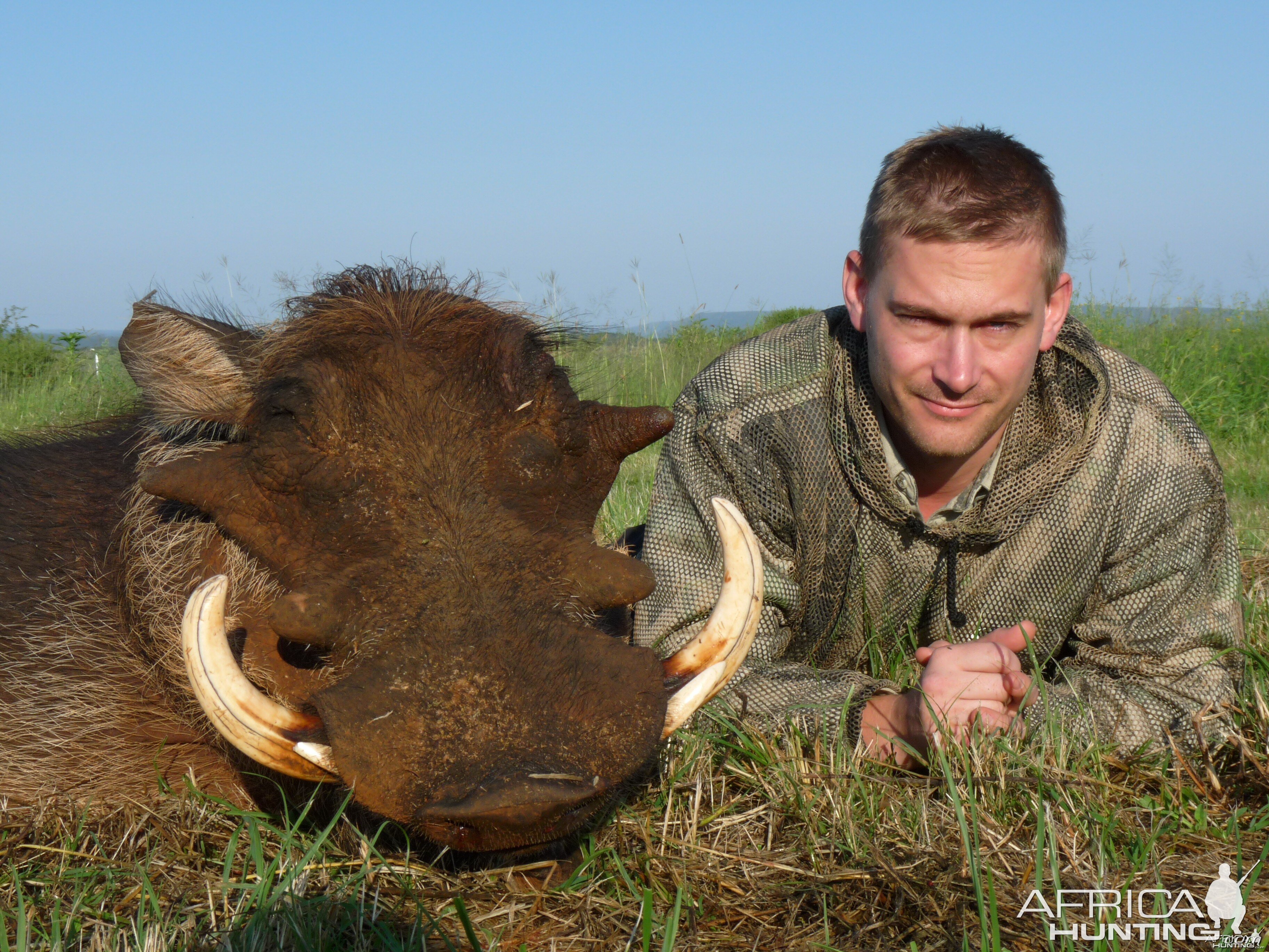 Hunting Warthog in South Africa