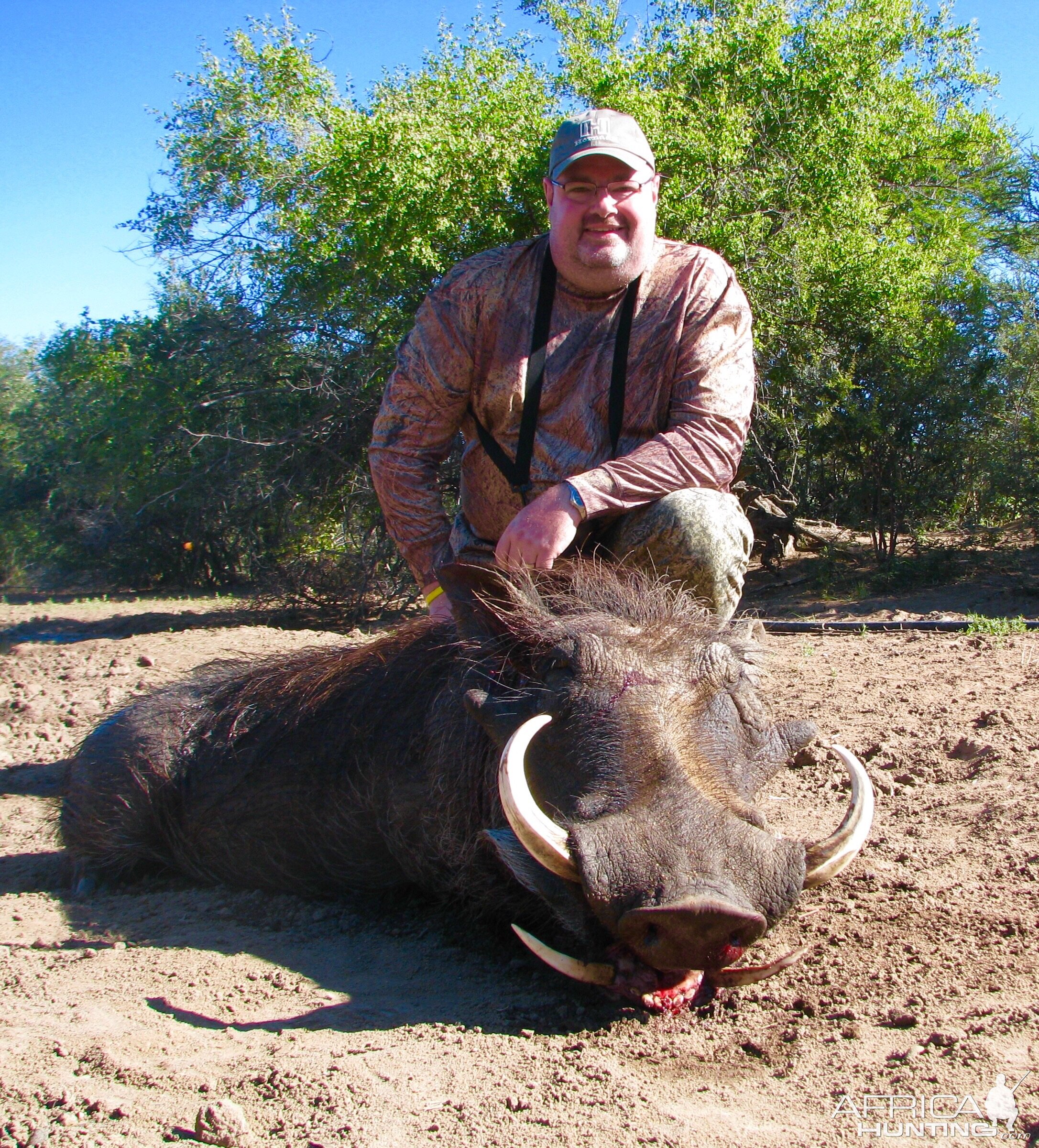 Hunting Warthog in South Africa