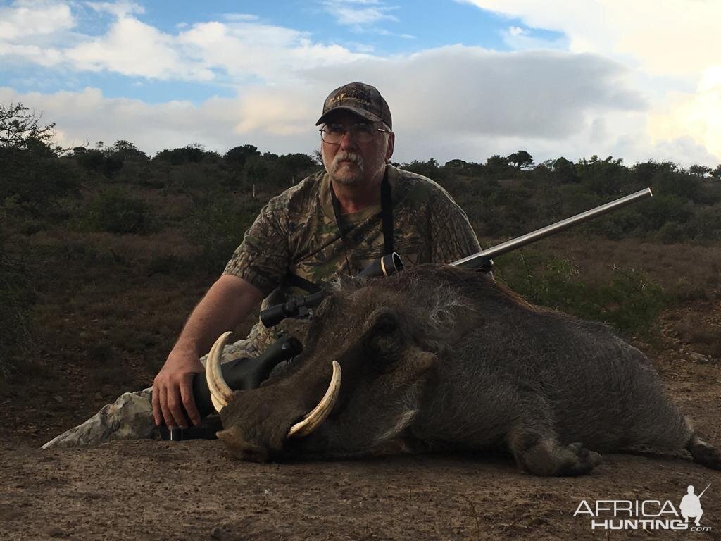 Hunting Warthog in South Africa