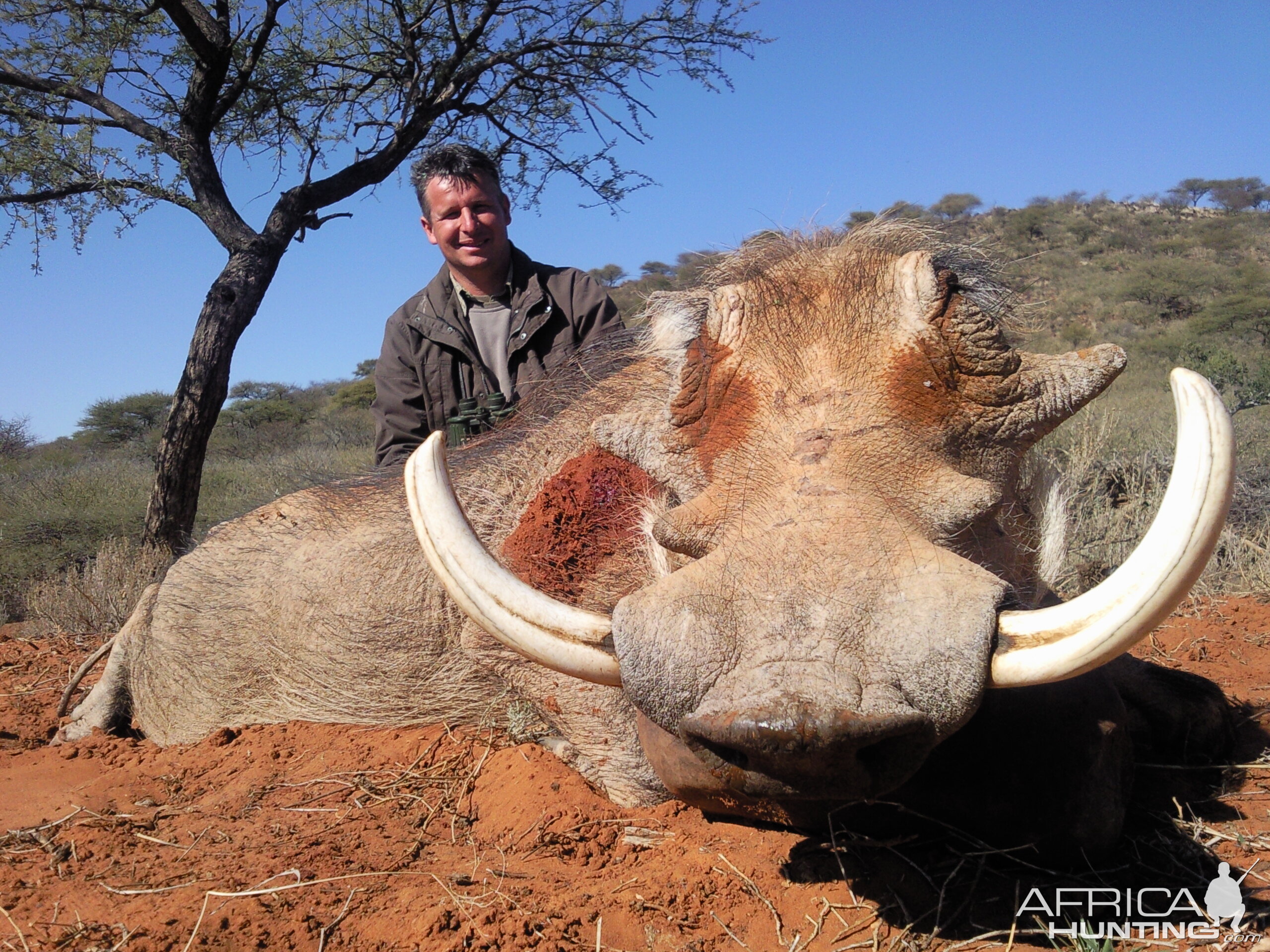 Hunting Warthog SAVANNA HUNTING SAFARIS