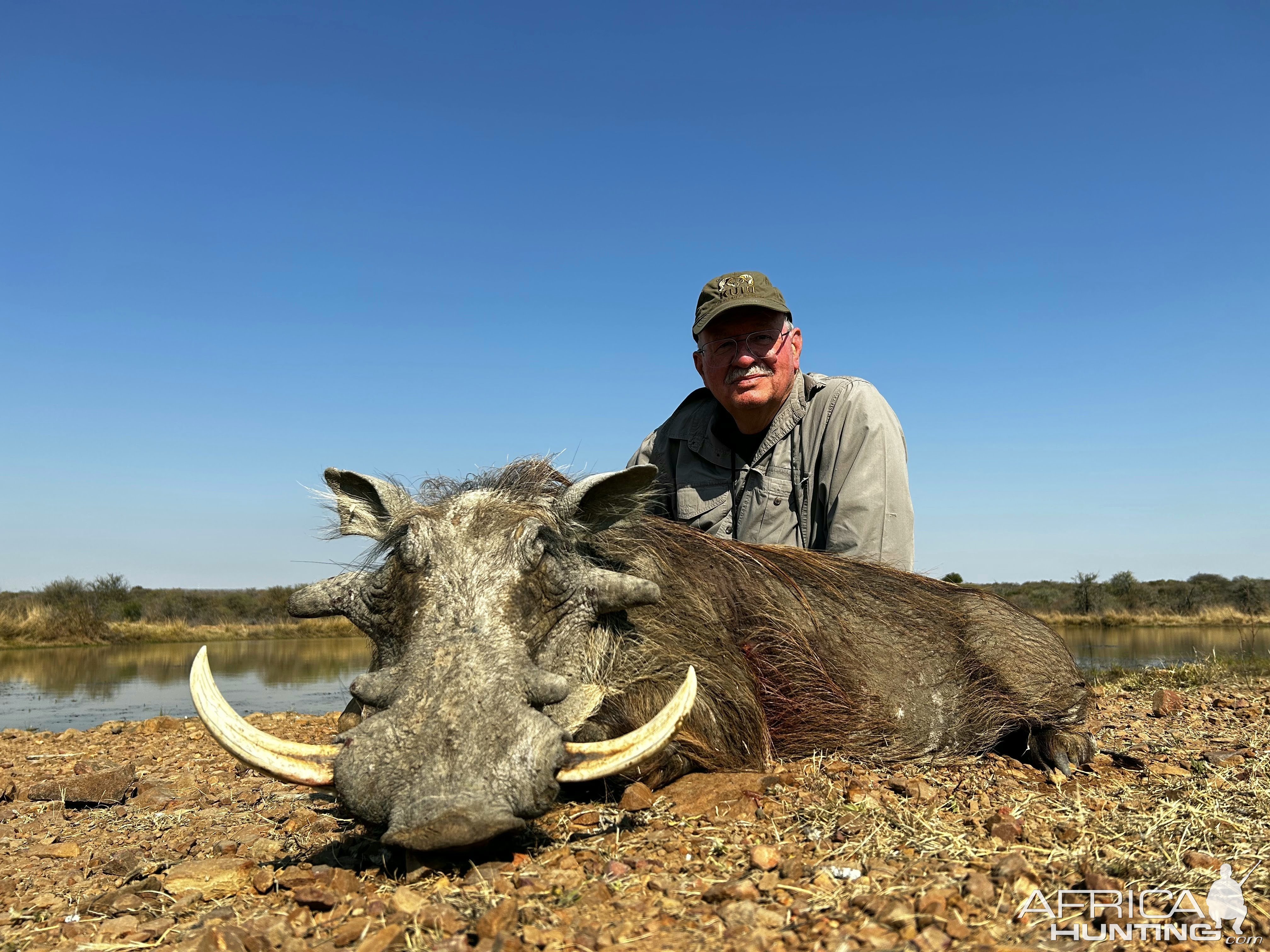 Hunting Warthog