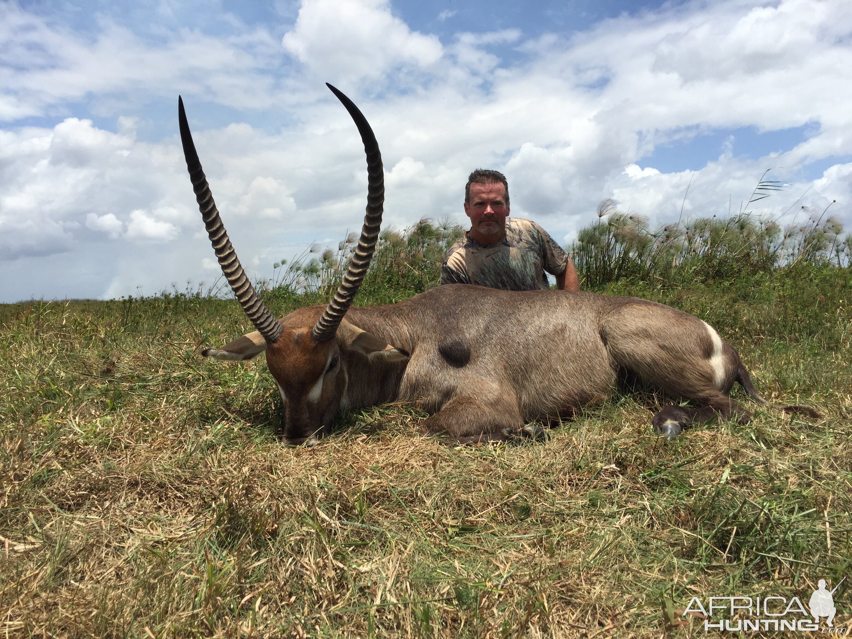 Hunting Waterbuck in South Africa