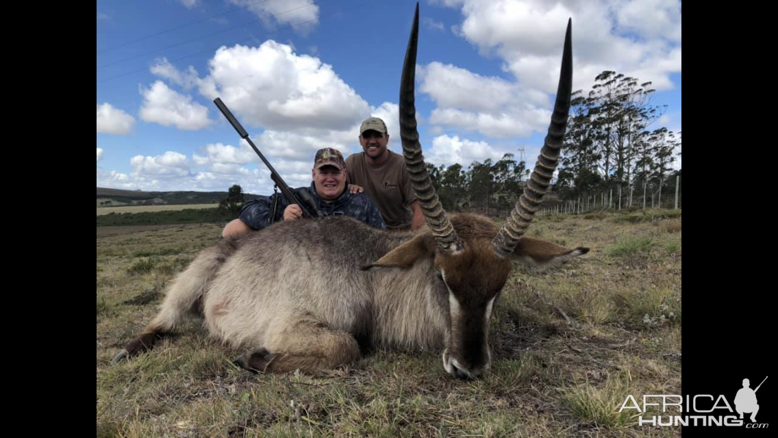 Hunting Waterbuck in South Africa