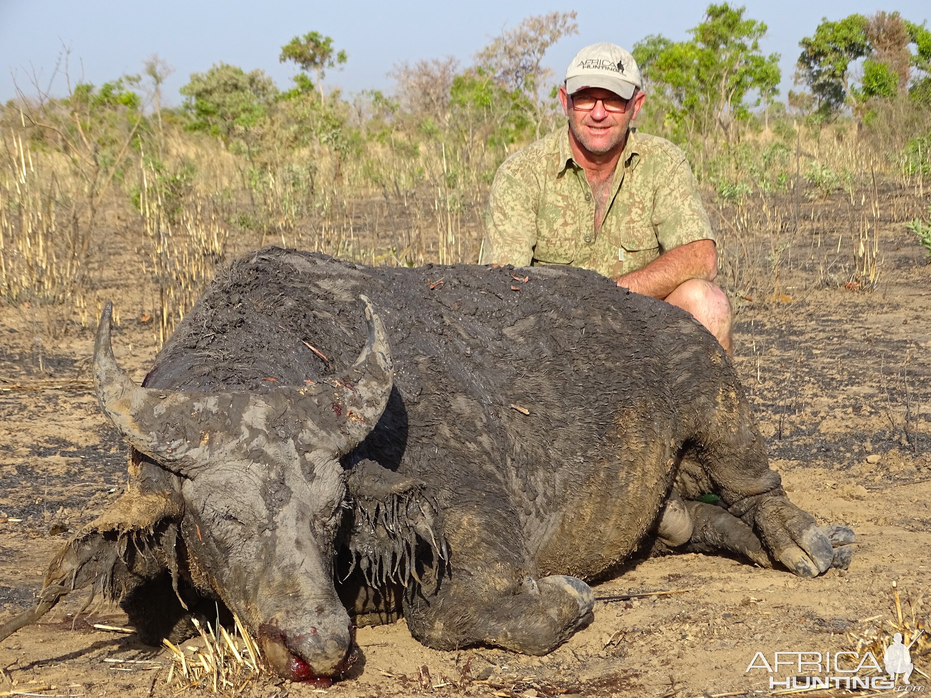 Hunting West African Savannah Buffalo Benin