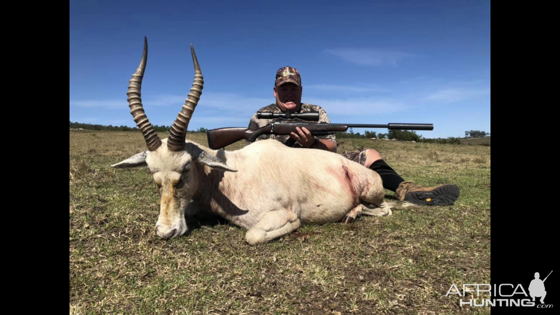 Hunting White Blesbuck in South Africa