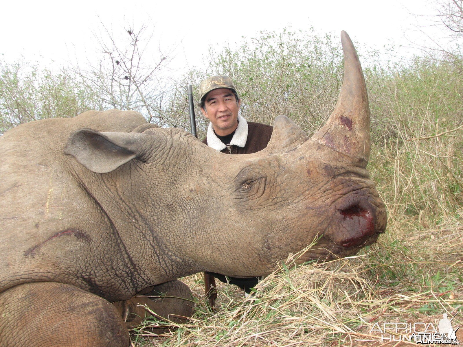 Hunting White Rhino