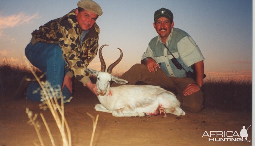 Hunting White Springbok