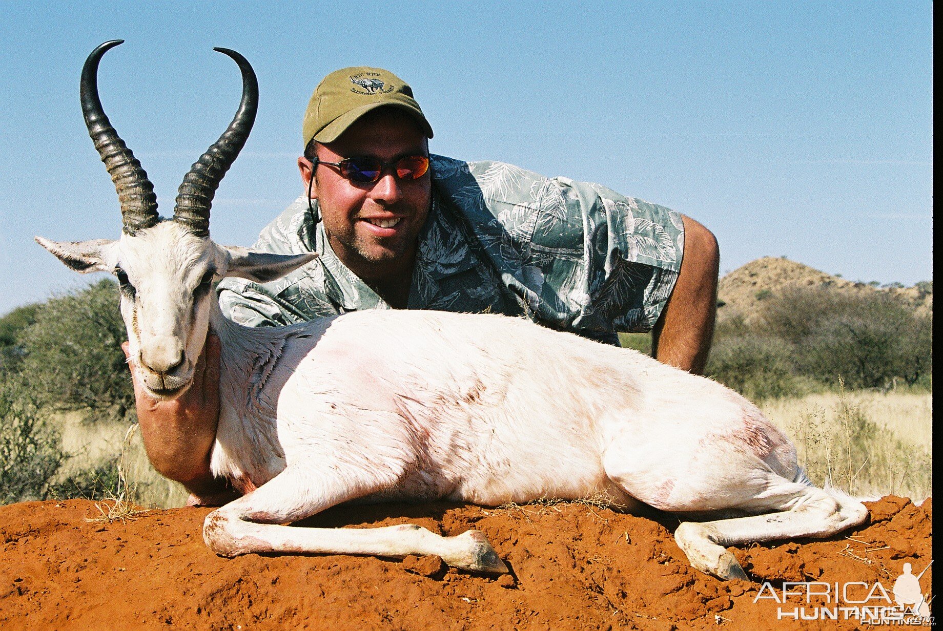 Hunting White Springbuck with Wintershoek Johnny Vivier Safaris in SA