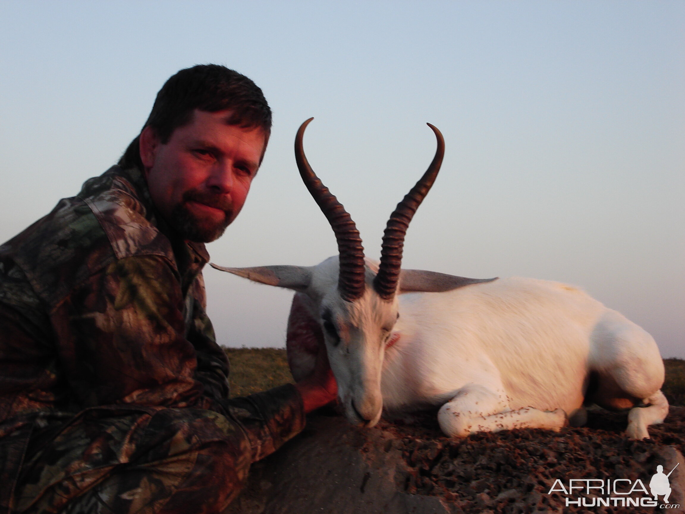 Hunting White Springbuck with Wintershoek Johnny Vivier Safaris in SA